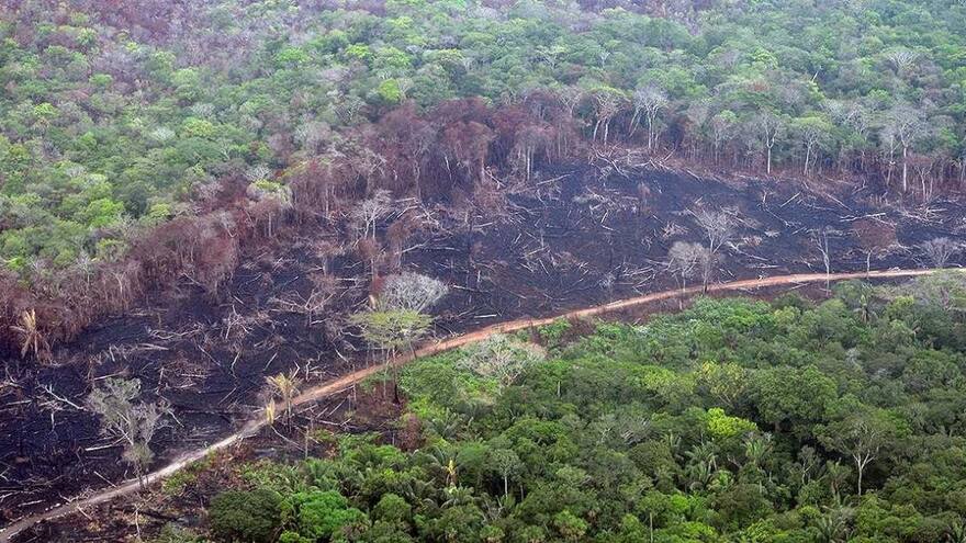 Deforestación en Colombia aumentó en el primer trimestre del año