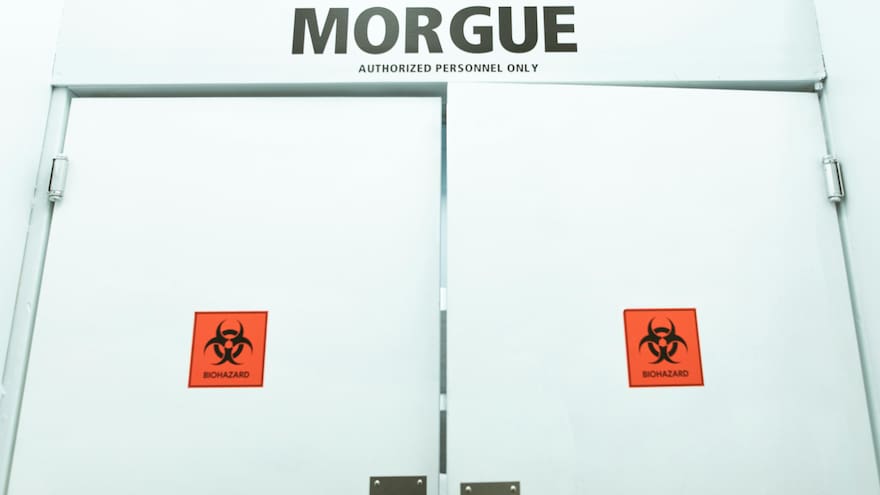 Empresa china habría robado miles de cadáveres para hacer injertos dentales