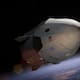 SpaceX: primera misión privada espacial será lanzada este miércoles