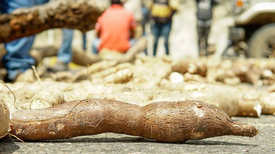 Los yuqueros de Sucre alistan una nueva protesta tras incumplimientos
