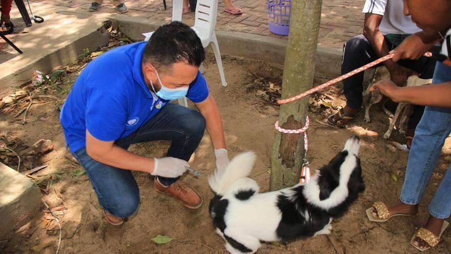 Salud en animales: Malambo realiza jornada de atención de salud a mascotas