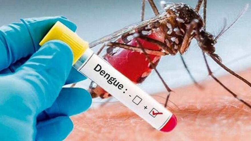 Emiten alerta epidemiológica en Perú por más de 6 mil casos de dengue