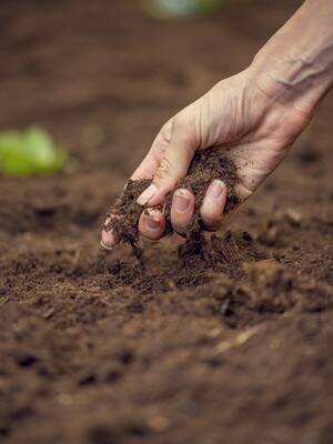 El Estado y la tierra | Columna de José Félix Lafaurie