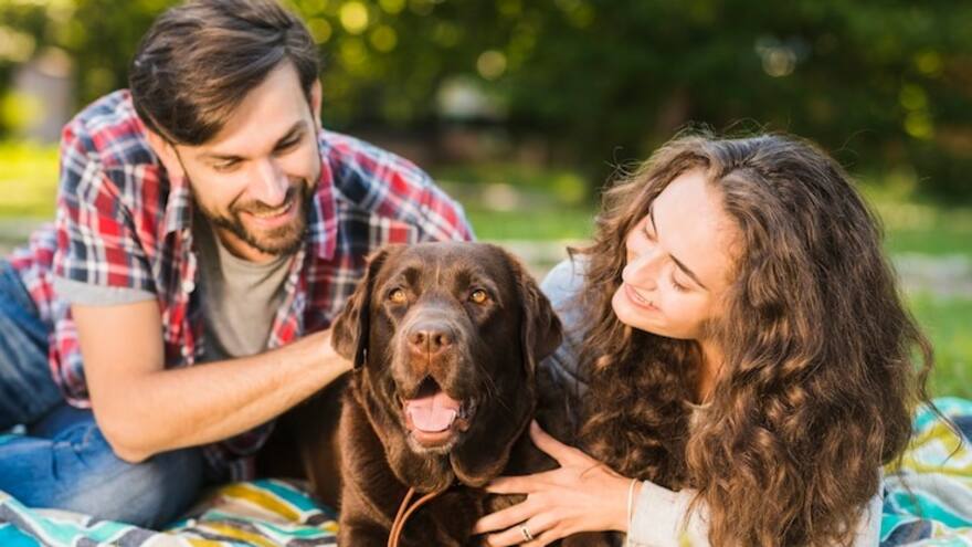 “Los perros entienden palabras aunque no las pronuncien sus dueños”