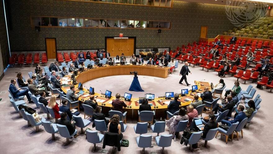 Consejo de Seguridad de la ONU saludó el inicio de la mesa de paz con el EMC