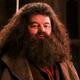 Falleció Robbie Coltrane, quien interpretó a Hagrid en ‘Harry Potter’