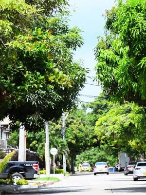 El huevito del billón de pesos| columna de Horacio Brieva