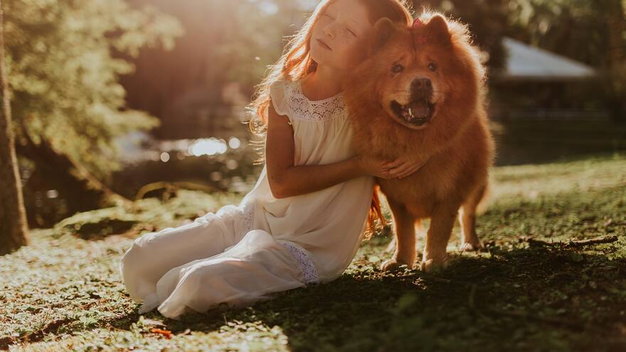 Señales que da su perro para saber si es feliz: esto dice la ciencia