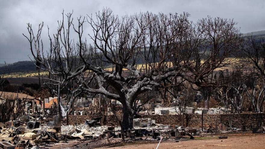 Cifra de personas fallecidas por incendios en Hawái asciende a 110