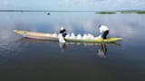 Con siembra de 200 mil bocachicos recuperan especies nativas en embalse del Guájaro