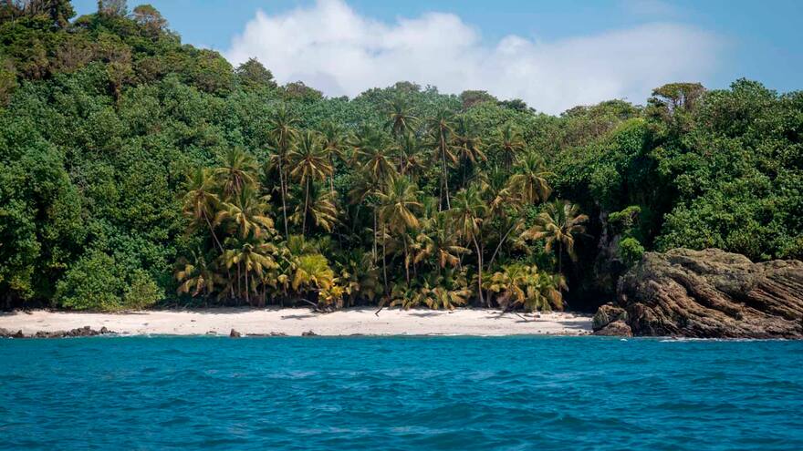 Gobierno invertirá $50 mil millones en el Parque Nacional Natural Gorgona