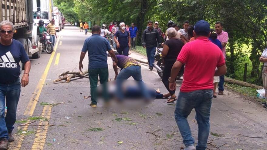 Menor de edad se encuentra en grave estado de salud al caerle rama de árbol