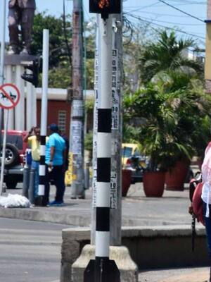 Pica y se extiende…