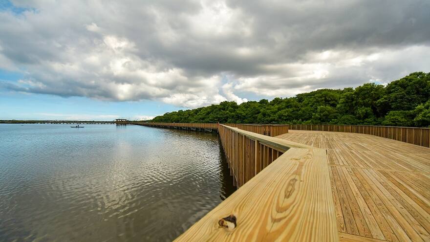 Barranquilla, una verdadera ciudad de modelo ambiental