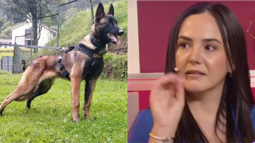 'Wilson cumplió su propósito': Mía Vanegas, mujer que habla con los animales