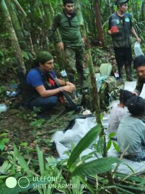 El milagro de la madre selva | Columna de José Consuegra