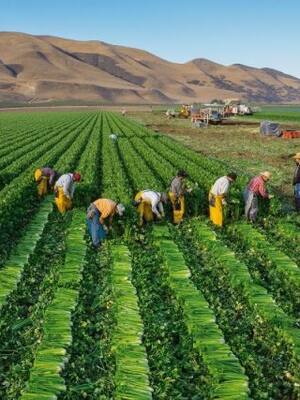 Un crédito perverso | Columna de Indalecio Dangond