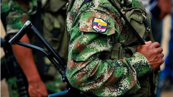 Combates entre el Ejército y las Farc en Meta: Comunidad de Vistahermosa en medio del fuego cruzado