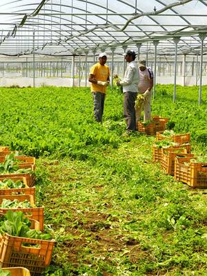 El potencial del Atlántico| columna de Nicolás Renowitzky R.