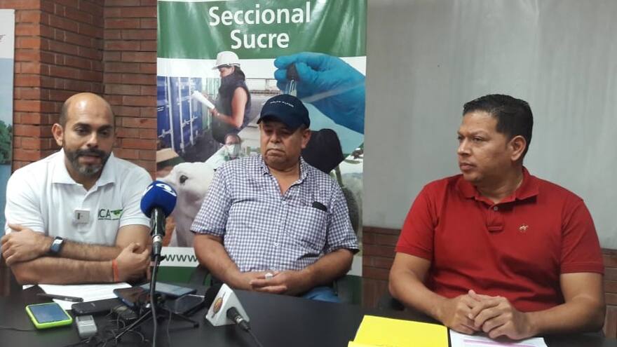 Sucre: 400 aves fueron sacrificadas por tener influenza aviar por el Instituto Colombiano Agropecuario