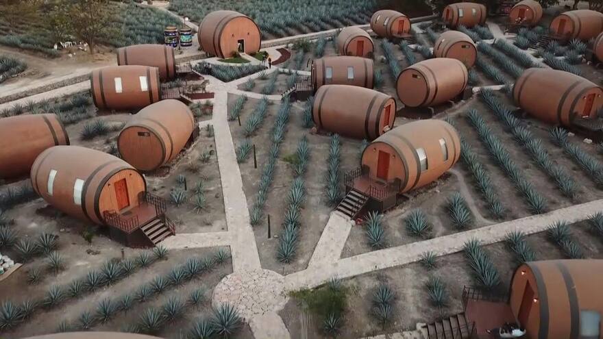 ¿Dormiría en toneles de tequila? la curiosa invitación de un hotel a sus huéspedes