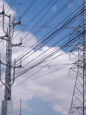 La clavija de la opción tarifaria