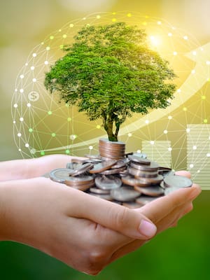 A gobernadores y alcaldes | Columnma de Indalecio Dangond