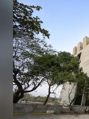 Barranquilla tendrá museo moderno | Columna de Jesús Ferro Bayona