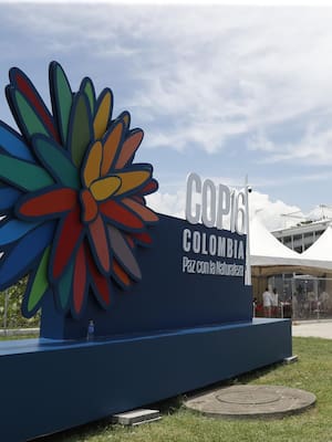 COP16: “Put your money where your mouth is” | Columna de Ricardo Plata Cepeda