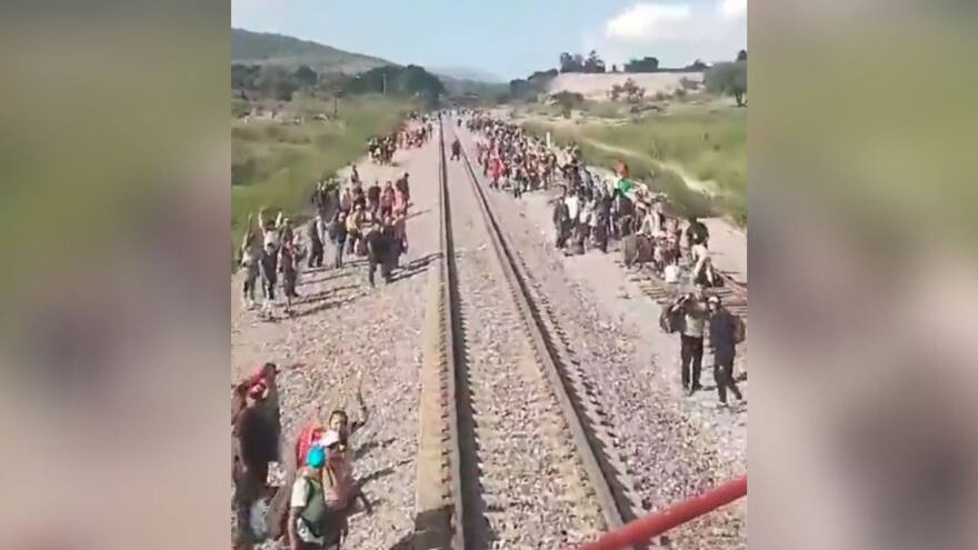 Crisis migratoria: empresa ferroviaria mexicana suspende operación