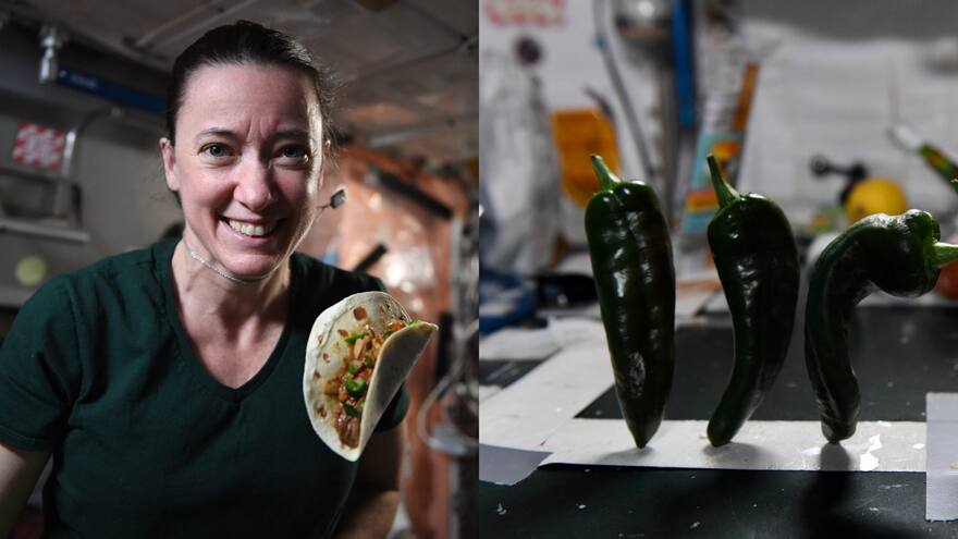 ¿Qué comen los astronautas en el espacio? Descubra la dieta que tienen