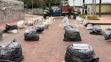 Incautan cerca de 1.000 kilos de explosivos en el Cesar
