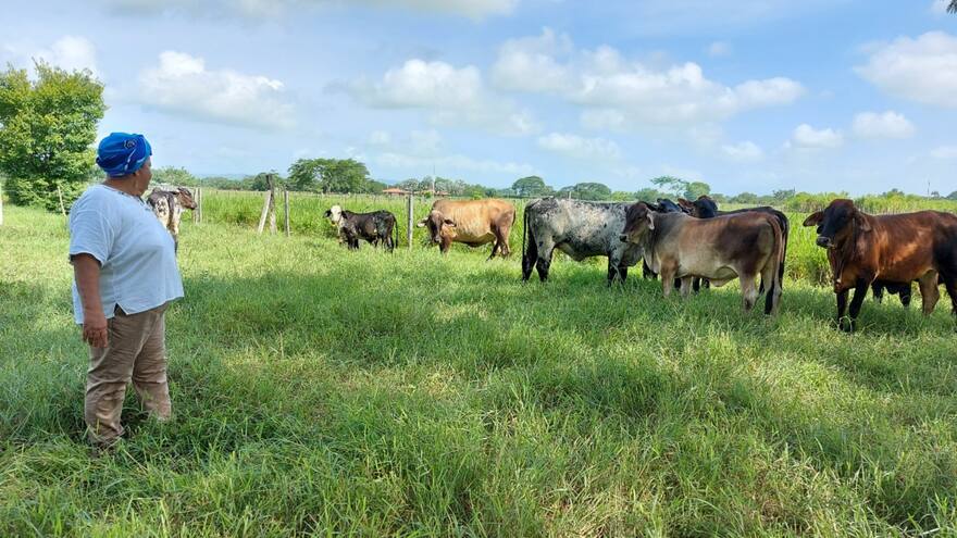 En Córdoba se ha habilitado más de 4 mil solicitudes de restitución de tierra