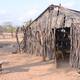 Las altas temperaturas y la sequía afectan los animales en La Guajira, Meta y Casanare