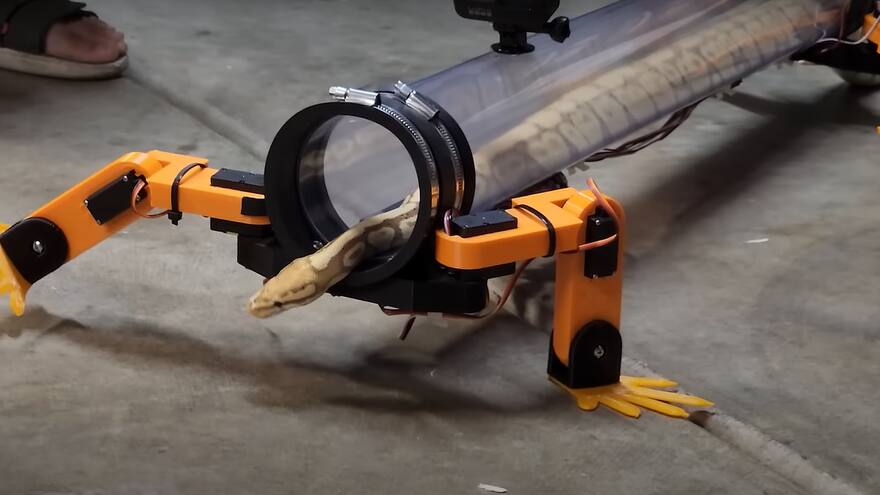 Allen Pan, el ingeniero youtuber que le hizo patas robóticas a una serpiente