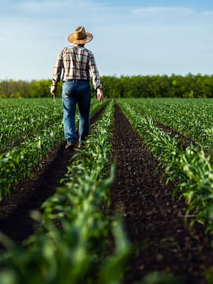 25 años sembrando frustraciones