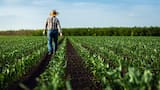 Y el campo…, ¿qué?