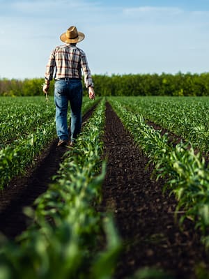 Y el campo…, ¿qué?