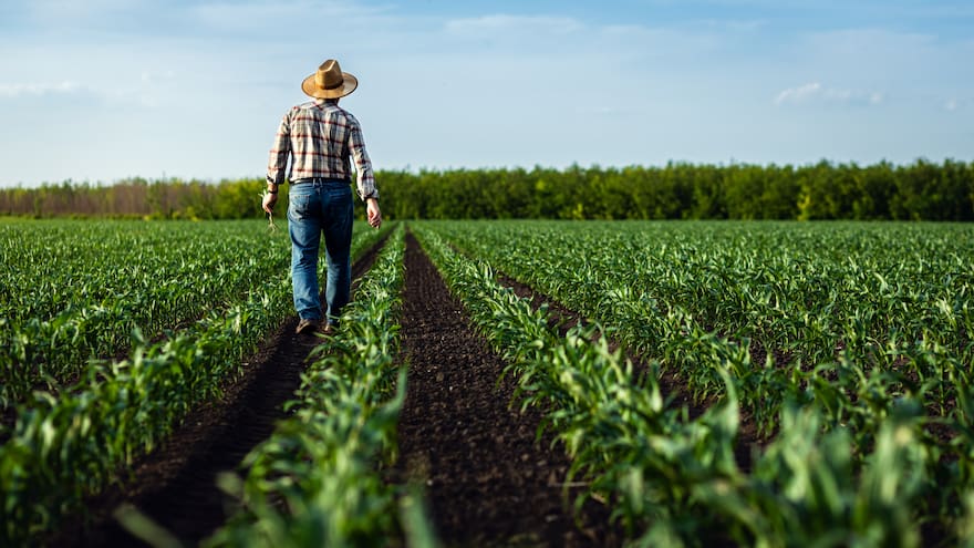 Y el campo…, ¿qué?