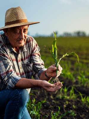 Entre la esperanza y la incertidumbre