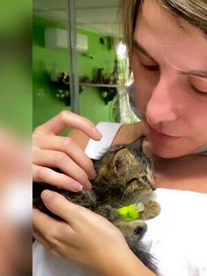 Como no se puede opinar