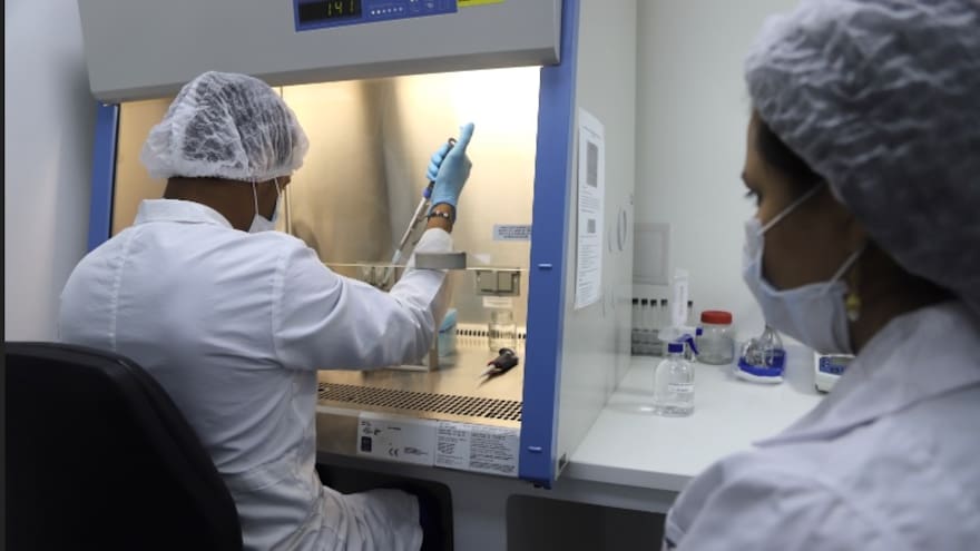 Variante identificada en Colombia, clasificada como de interés