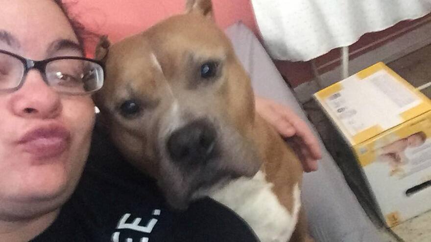 Mujer embarazada mata a su perro a puñaladas tras atacar a su familia