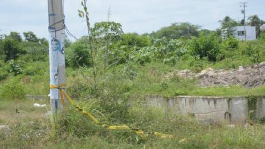 Homicidio: Cuerpo de hombre sin vida es encontrado en zona enmontada de Mesolandia