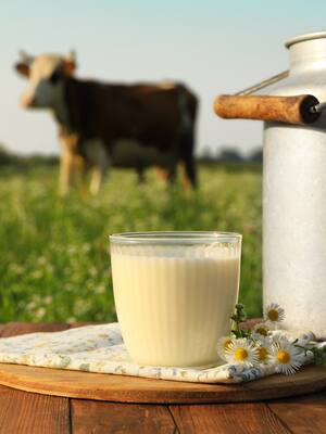 Lecheros hacia la ruina | Columna de Jorge Enrique Robledo