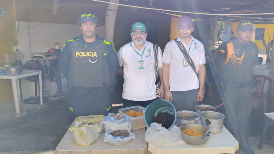 Corpoguajira y Policía decomisan carne de tortuga
