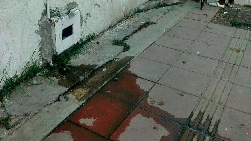 'Arrojar agua servidas a la calle le puede costar hasta 25 millones de pesos': Dadis