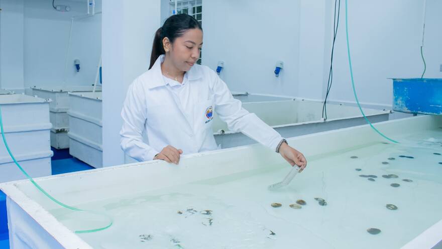 Modernizan Laboratorio de Moluscos y Microalgas, en Taganga
