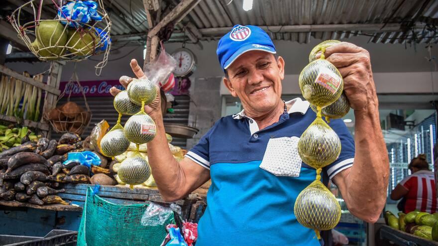 La bonanza del borojó