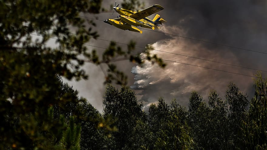 Más de mil bomberos luchan contra gran incendio en Portugal